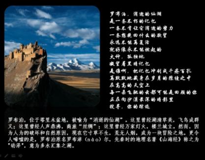 “龙”重“灯”场,社科院与美国杜兰大学金融管理硕士一起点亮未来